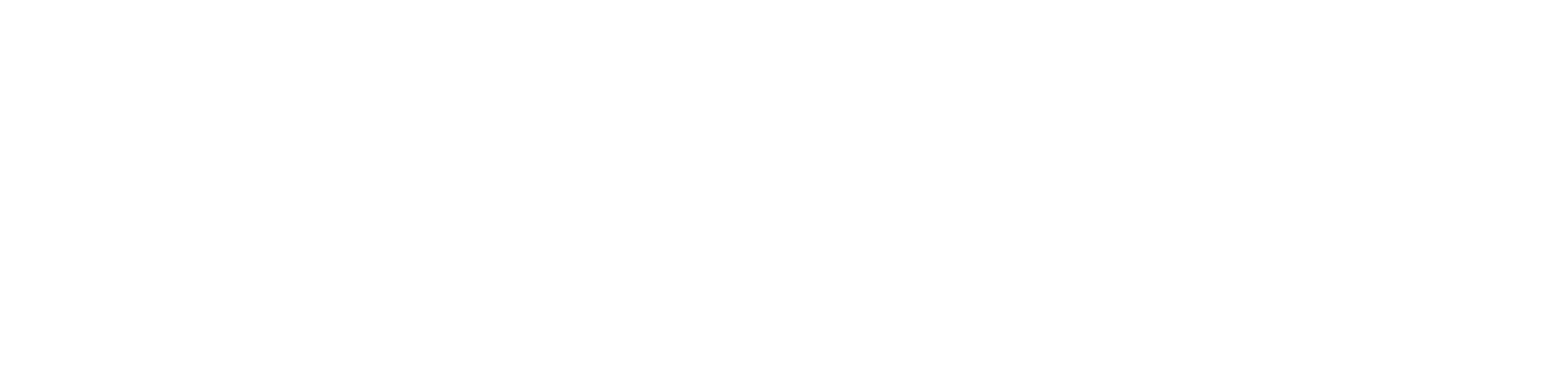 Geniall Accelerator